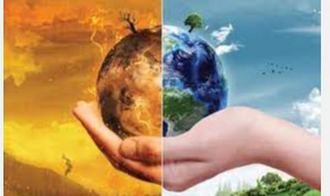 2020ஆம் ஆண்டில் அதிக அளவில் கொல்லப்பட்ட சுற்றுச்சூழல் ஆர்வலர்கள்
