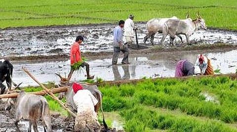 கேள்விக்குறியாக மாறும் வேளாண் துறை வேலைவாய்ப்பு