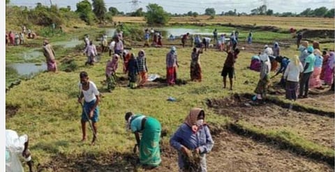 100 நாள் வேலை திட்டத்தை அழிக்க மத்திய அரசு முயற்சி: விவசாய தொழிலாளர் சங்கம் குற்றச்சாட்டு