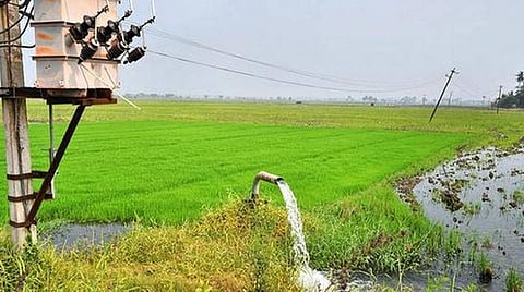 ஒரு லட்சம் மின் இணைப்புகள் யாருக்கு கிடைக்கும்? - 4.52 லட்சம் விவசாயிகள் எதிர்பார்ப்பு