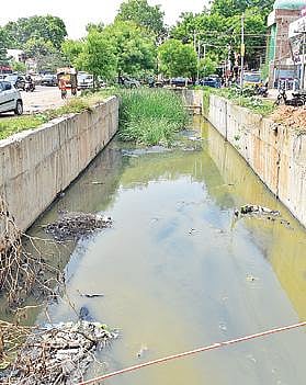 தூர்வாரப்படாமல் உள்ள மதுரை பைபாஸ் ரோடு கிருதுமால் நதி மழைநீர் கால்வாய். படங்கள்: எஸ்.கிருஷ்ணமூர்த்தி