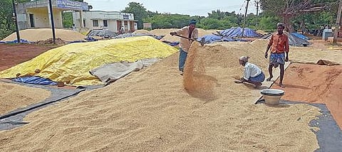 தஞ்சாவூர் அருகே வேங்கராயன்குடிக்காட்டில் நெல் கொள்முதல் நிலையம்  முன்பு விவசாயிகளால் குவித்து வைக்கப்பட்டுள்ள நெல் குவியல்.