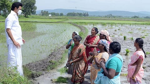 மதுரை அருகே பாப்பாபட்டி செல்லும் வழியில் காரைவிட்டு இறங்கி வயல்வெளிகளில் வேலை பார்த்த பெண்களிடம் குறைகளை கேட்டறிந்த முதல்வர் மு.க.ஸ்டாலின்.