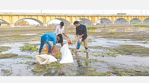 மதுரை வைகையாற்றில் ஆங்காங்கே குவிந்து கிடக்கும் பிளாஸ்டிக் கழிவுகளை அப்புறப்படுத்தும் சமூக ஆர்வலர்கள்.