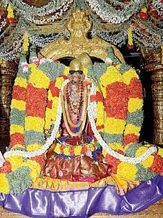 சிறப்பு அலங்காரத்தில் ஆண்டாள்.