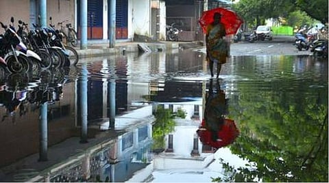 நீலகிரி, கோவையில் மிக கனமழை; 15க்கும் மேற்பட்ட மாவட்டங்களில் கனமழை வாய்ப்பு: வானிலை ஆய்வு மையம் 