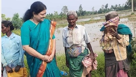 தஞ்சாவூர் அருகே நெல் நடவு செய்த பெண்களிடம் சென்று நலம் விசாரித்த சசிகலா
