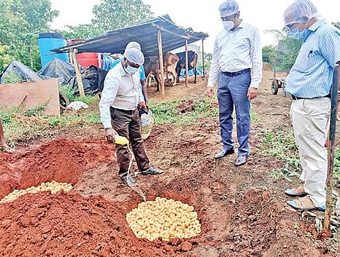 தரமற்ற முறையில் தயாரிக்கப்பட்ட இனிப்புகளை கைப்பற்றி அழித்த உணவு பாதுகாப்பு துறை அதிகாரிகள்.