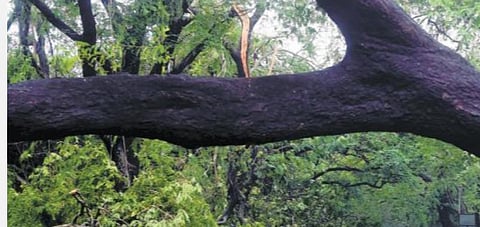 பிரதிநிதித்துவப் படம்.