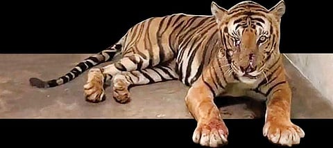 T23 சொல்லித்தரும் பாடம்