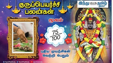 குருப்பெயர்ச்சி பலன்கள் ; மூலம் நட்சத்திர அன்பர்களே; தடைகள் அகலும்; உத்தியோகப் பிரச்சினை தீரும்; பெண்களுக்கு உற்சாகம்; வருத்தங்கள் தீரும்! 