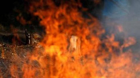 நெல்லையில் வளர்ப்புத் தந்தையால் தீ வைக்கப்பட்ட சிறுமி சிகிச்சைப் பலனின்றி உயிரிழப்பு