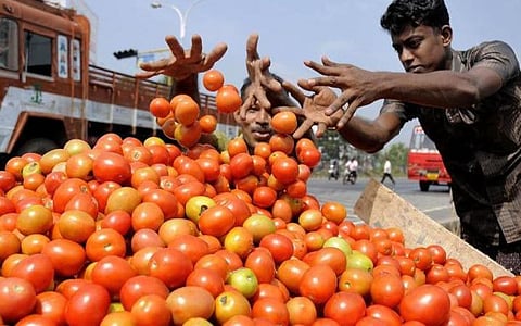 பண்ணை பசுமை கடைகளில் குறைந்த விலையில் தக்காளி விற்பனை: கூட்டுறவுத் துறை அறிவிப்பு