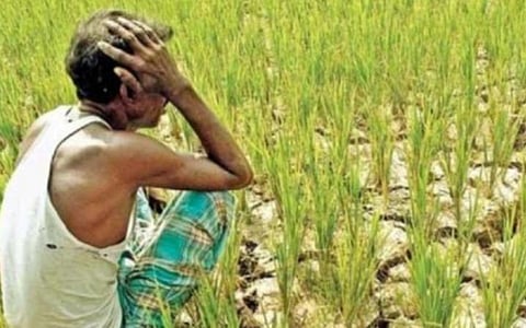பஞ்சாபில் ரூ.1,200 கோடி விவசாய கடன் தள்ளுபடி
