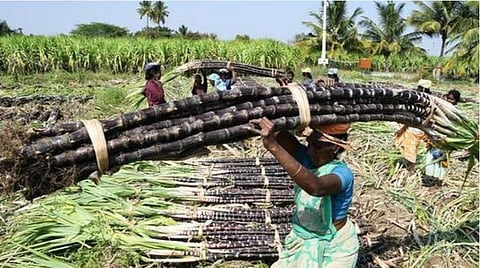 பிரதிநிதித்துவப் படம்
