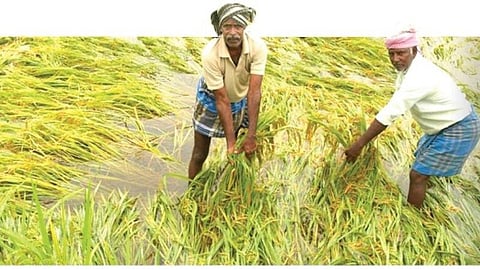 எப்போது கிடைக்கும் மழை நிவாரணம்?