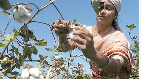 பிரதிநிதித்துவப் படம்.