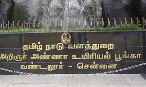 ஞாயிறு முழு ஊரடங்கு: வண்டலூர் உயிரியல் பூங்காவைப் பார்வையிட அனுமதி இல்லை