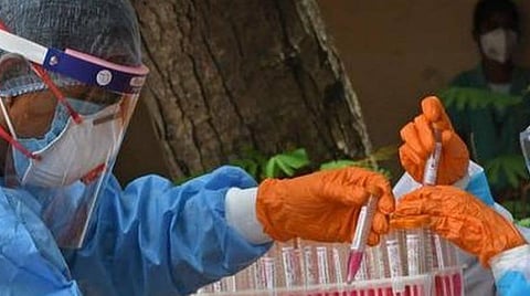 புதுச்சேரியில் புதிதாக 444 பேருக்கு கரோனா தொற்று உறுதி
