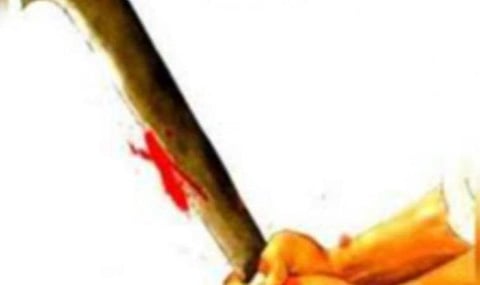சங்கரன்கோவில் அருகே விவசாயிக்கு வெட்டு: 3 பேர் கைது