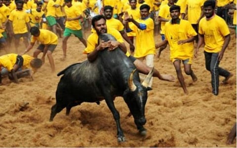 அலங்காநல்லூர் ஜல்லிக்கட்டு | கோப்புப் படம்.