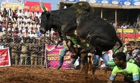 பாலமேடு, அலங்காநல்லூர் ஜல்லிக்கட்டு பாதுகாப்பில் 2 ஆயிரம் போலீஸார்: மதுரை எஸ்.பி. பாஸ்கரன் தகவல்