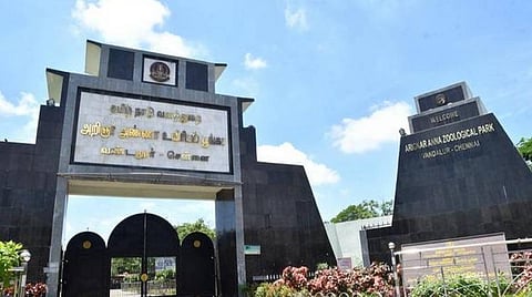 வண்டலூர் உயிரியல் பூங்காவில் 76 பணியாளர்களுக்கு கரோனா தொற்று