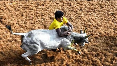 கோப்புப் படம்
