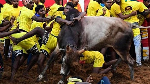 அலங்காநல்லூர் ஜல்லிக்கட்டில் போராடி டோக்கன் பெற்று சாதித்த கார்த்திக்