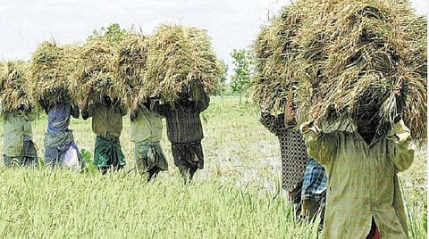 பிரதிநிதித்துவப் படம்.
