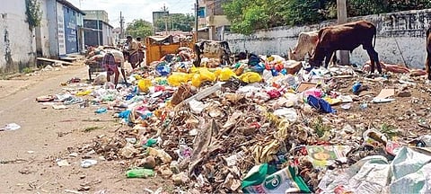 மேலப்பாளையத்திலுள்ள தெருக்களில் தேங்கியுள்ள குப்பைகளால் சுகாதார சீர்கேடு நிலவுகிறது. படம்: மு.லெட்சுமி அருண்