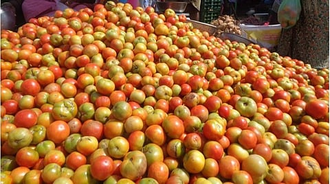 வரத்து அதிகரிப்பால் சந்தையில் குவியும் தக்காளி.