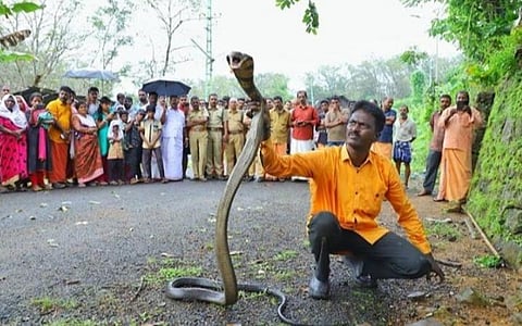 பிரார்த்தனைகளுக்கு மத்தியில் ஒரு கலகக்குரல்.. - வனத்துறையை மீறி செயல்பட்டாரா வாவா சுரேஷ்?