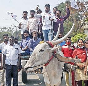கோவை தெற்கு வட்டாட்சியர் அலுவலகம் அருகே மாட்டு வண்டியில் வேட்பு  மனு தாக்கல் செய்ய வந்த மக்கள் நீதி மய்யம் கட்சி வேட்பாளர்.