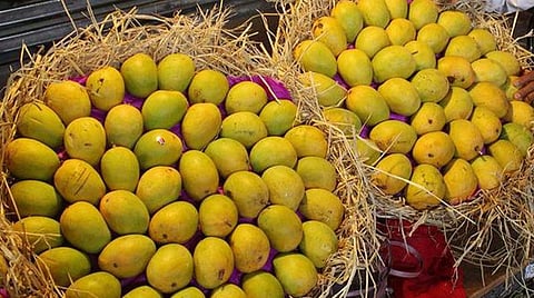 கோப்புப் படம்