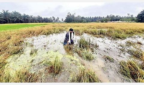 பிரதிநிதித்துவப்படம்