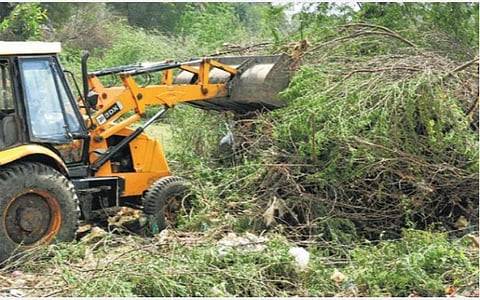 இறுதிக்கட்ட பணியில் சீமை கருவேல மரங்களை அழிக்கும் திட்டம்: உயர் நீதிமன்றத்தில் தமிழக அரசு தகவல்