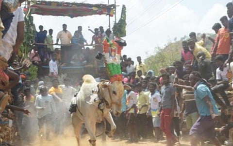 படங்கள்: வி.எம்.மணிநாதன்