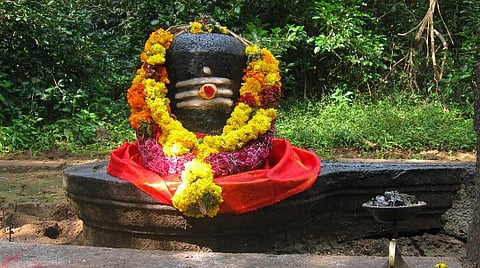 நல்லதே நடக்கும்