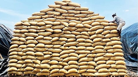தஞ்சாவூர் மாவட்டம் பருத்தியப்பர்கோவில் நெல் சேமிப்பு கிடங்கில் நெல் மூட்டைகளை பாதுகாப்பாக அடுக்கும் பணியில் ஈடுபட்டுள்ள தொழிலாளர்கள்.