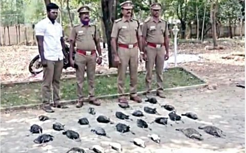 வேட்டையாடப்பட்டு விற்பனைக்கு வைக்கப் பட்ட 28 பறவைகளை திருவள்ளூர் வனத் துறையினர் பறிமுதல் செய்தனர்.