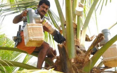 நீரா பானத்தை விற்பனை செய்ய சிரமப்படும் விவசாயிகள்: தினசரி உற்பத்தி 4,000 லிட்டரில் இருந்து 400 லிட்டராக குறைந்தது