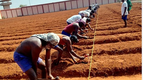 ”தினமும் ரூ.200 கூலியுடன் மனநிறைவு” - விவசாயப் பணிகளில் ஈடுபடும் புதுச்சேரி சிறைவாசிகள்