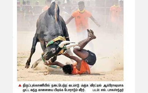 முதல்வர் மு.க.ஸ்டாலின் பிறந்த நாளை முன்னிட்டு, திருப்புல்லாணியில் வடமாடு மஞ்சு விரட்டு