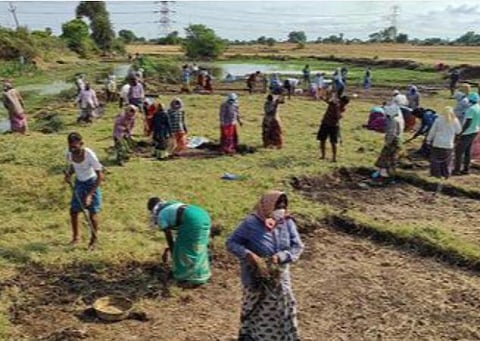 தமிழக பட்ஜெட் 2022-23: ஊரக வேலைவாய்ப்பு உறுதித் திட்டத்திற்கு ரூ. 2,800 கோடி ஒதுக்கீடு