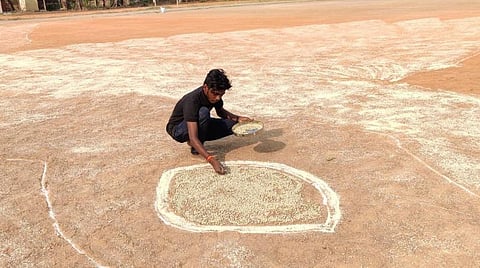 புதுச்சேரியில்  400 கிலோ தானியங்களைக் கொண்டு சிட்டுக்குருவியின் உருவப்படத்தை வரைந்த பொறியியல் மாணவர் வினோத்