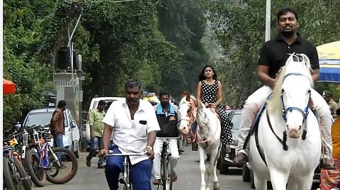 கொடைக்கானலில் குதிரைச்சவாரி செய்து மகிழ்ந்த சுற்றுலாபயணிகள்.