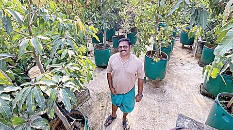 கேரளாவின் திரூர் பகுதியைச் சேர்ந்த அப்து ரசாக் தனது வீட்டு மொட்டை மாடியில் பழ மரங்களை வளர்த்து மிகப்பெரிய தோட்டத்தை உருவாக்கியுள்ளார்.