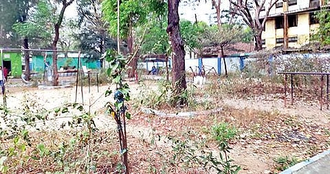 திருப்பத்தூர் நகராட்சி அலுவலகம் அருகே உள்ள சேர்மன் வி.எஸ்.வீரபத்திர சிறுவர் பூங்காவுக்குள் முட்புதர்கள் நிறைந்து கிடக்கின்றன.