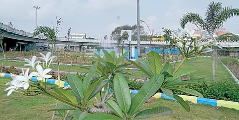 சென்னை கோயம்பேடு மேம்பாலத்தின் கீழ்பகுதியில் பசுமையாகப் பராமரிக்கும் வகையில் சென்னை மாநகராட்சி சார்பில் செடிகள், மரங்கள் மற்றும் புல் தரை அமைக்கப்பட்டுள்ளன.